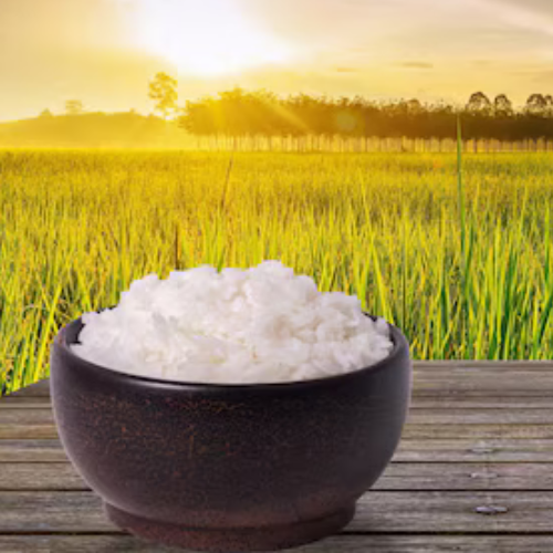 1121 Steam Basmati Rice Exporter from Pakistan